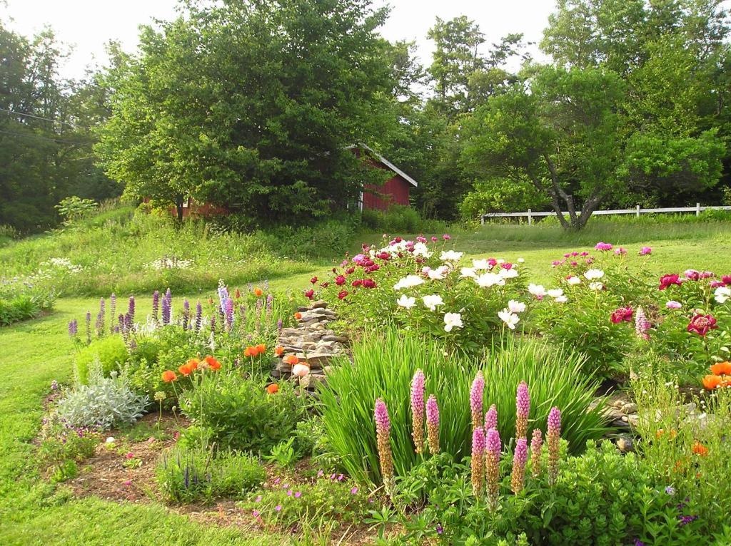 Cooper Hill Inn East Dover Exteriér fotografie